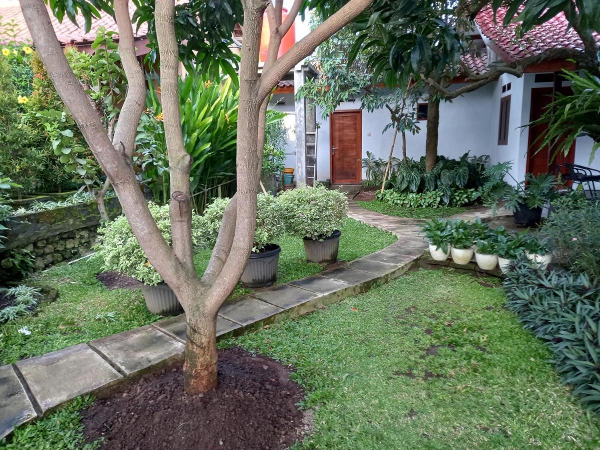Juda Homestay Banyuwangi  Exterior photo