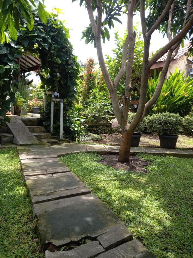 Juda Homestay Banyuwangi  Exterior photo