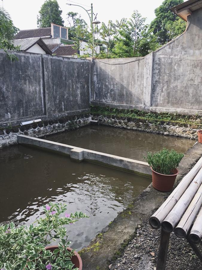Juda Homestay Banyuwangi  Exterior photo